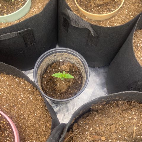 Baker bros  growlog timeline photo