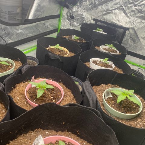 Baker bros  growlog timeline photo