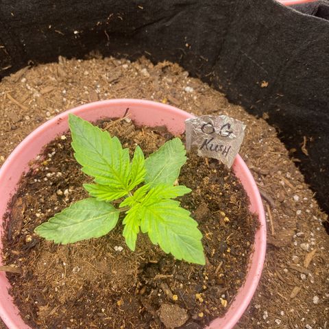 Baker bros  growlog timeline photo