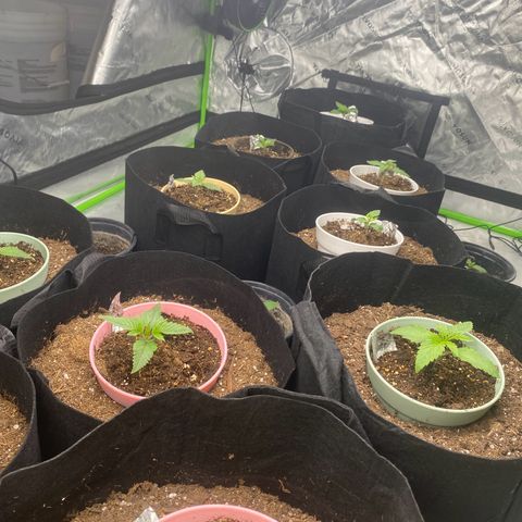 Baker bros  growlog timeline photo