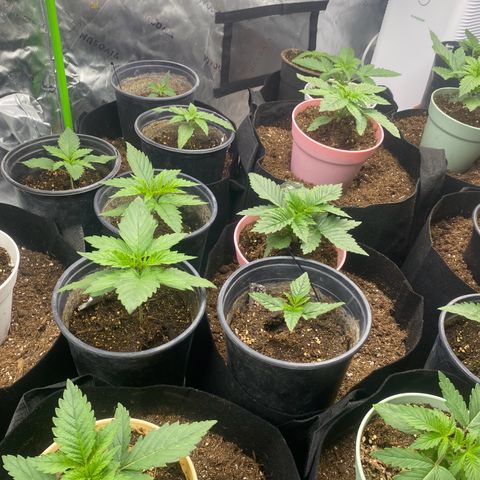 Baker bros  growlog timeline photo