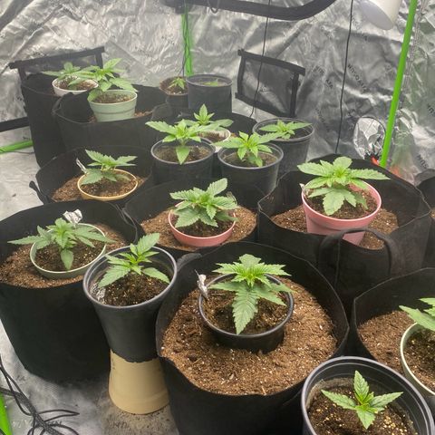 Baker bros  growlog timeline photo