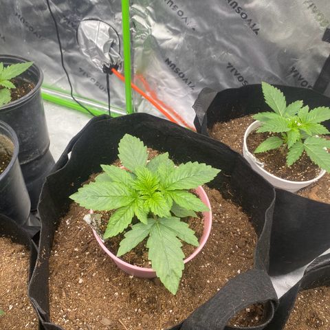 Baker bros  growlog timeline photo