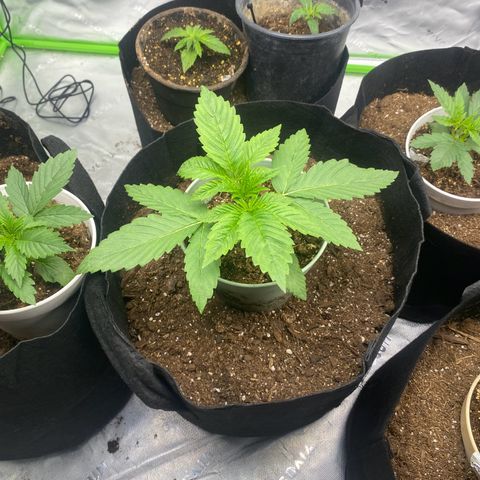 Baker bros  growlog timeline photo