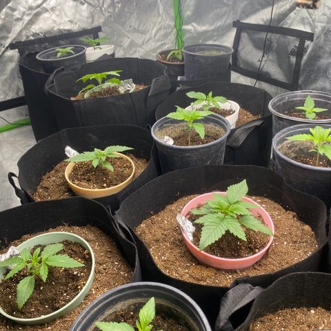 Baker bros  growlog timeline photo