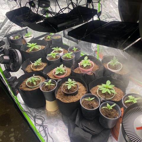 Baker bros  growlog timeline photo