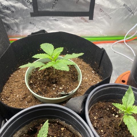 Baker bros  growlog timeline photo
