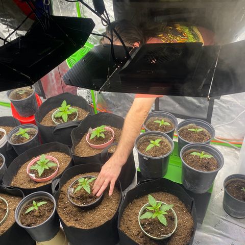 Baker bros  growlog timeline photo