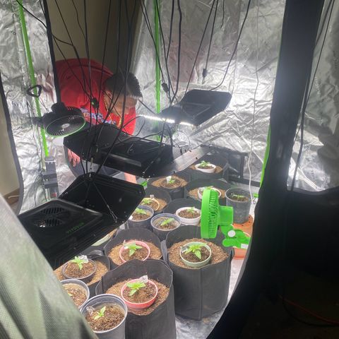 Baker bros  growlog timeline photo