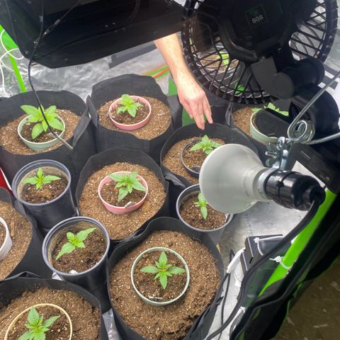 Baker bros  growlog timeline photo