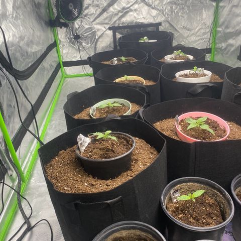 Baker bros  growlog timeline photo