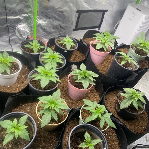 Baker bros  growlog timeline photo