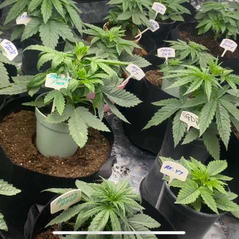 Baker bros  growlog timeline photo