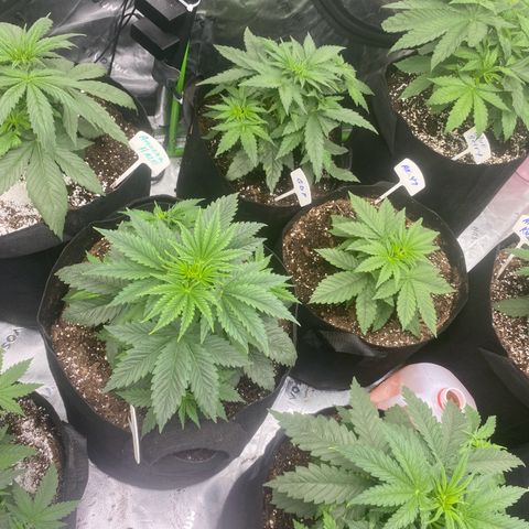 Baker bros  growlog timeline photo