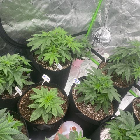 Baker bros  growlog timeline photo