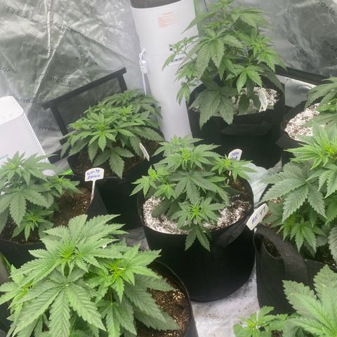 Baker bros  growlog timeline photo