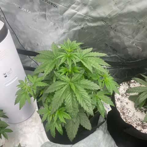 Baker bros  growlog timeline photo