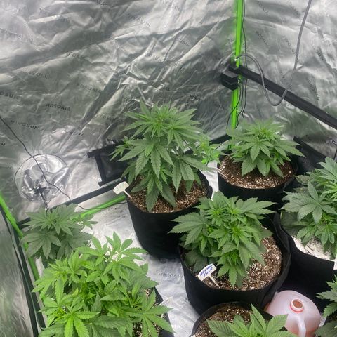 Baker bros  growlog timeline photo