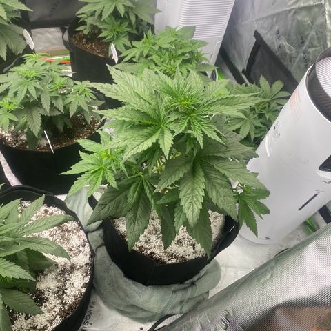 Baker bros  growlog timeline photo