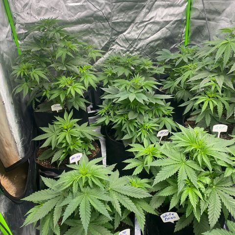 Baker bros  growlog timeline photo