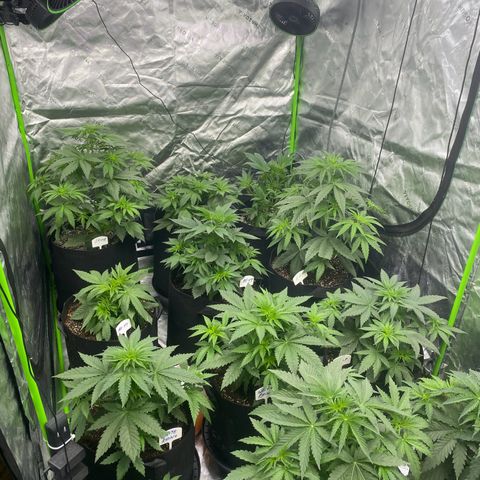 Baker bros  growlog timeline photo