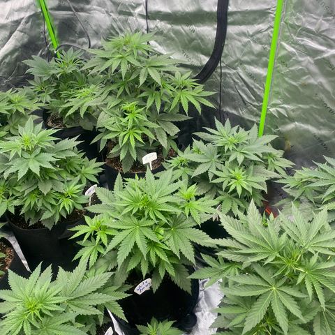 Baker bros  growlog timeline photo