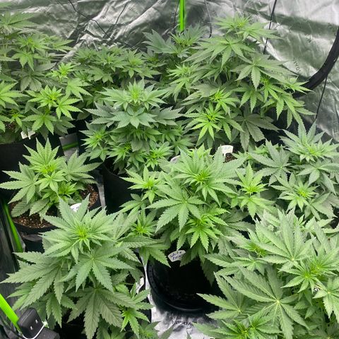 Baker bros  growlog timeline photo