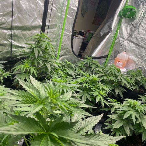 Baker bros  growlog timeline photo