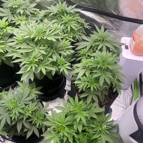 Baker bros  growlog timeline photo