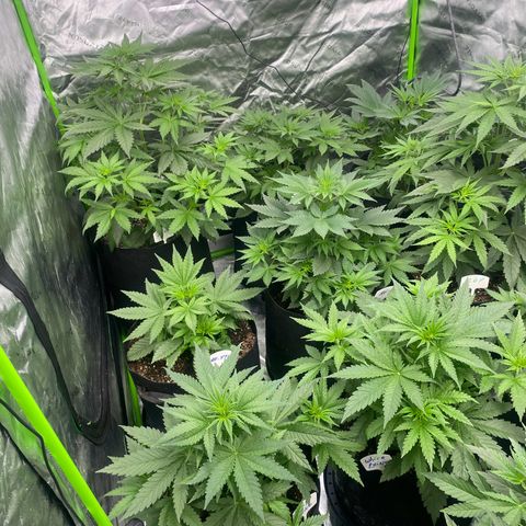Baker bros  growlog timeline photo