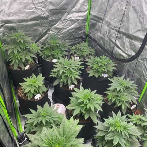 Baker bros  growlog timeline photo