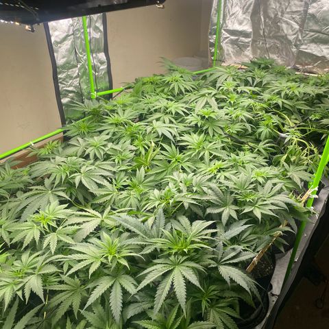 Baker bros  growlog timeline photo