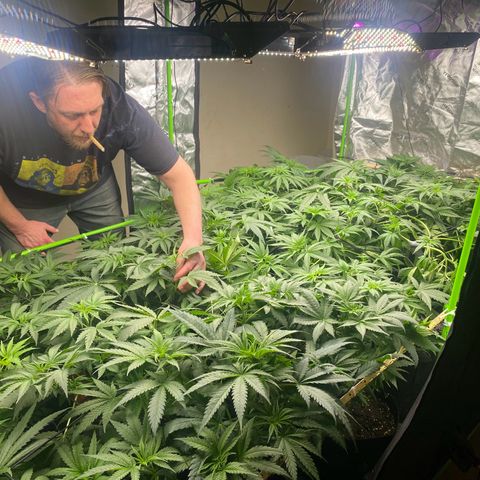 Baker bros  growlog timeline photo