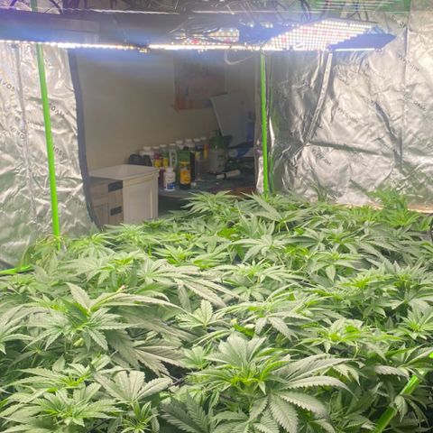 Baker bros  growlog timeline photo