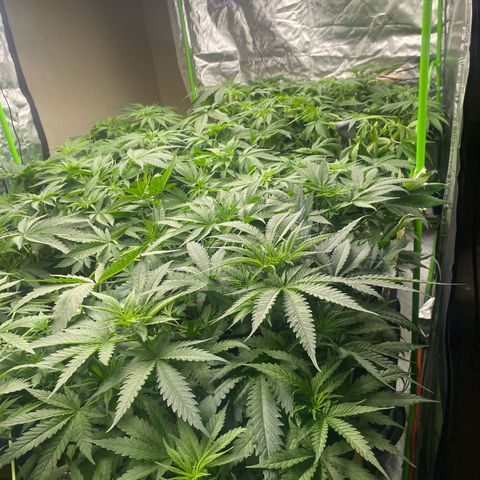 Baker bros  growlog timeline photo