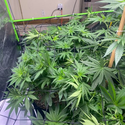 Baker bros  growlog timeline photo