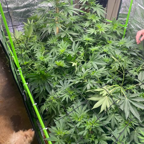 Baker bros  growlog timeline photo
