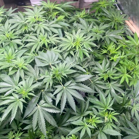Baker bros  growlog timeline photo