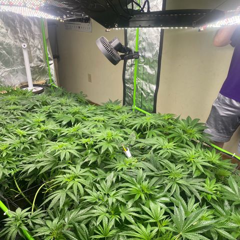 Baker bros  growlog timeline photo
