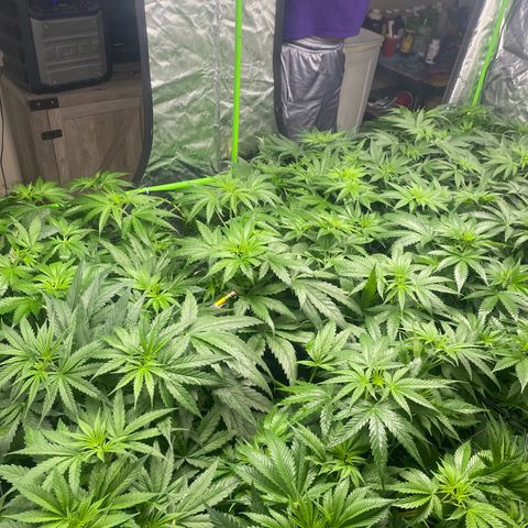 Baker bros  growlog timeline photo