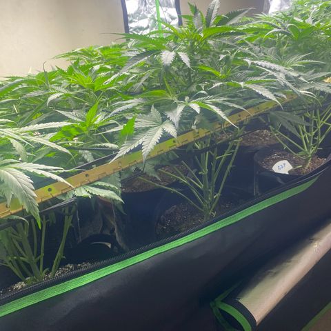 Baker bros  growlog timeline photo