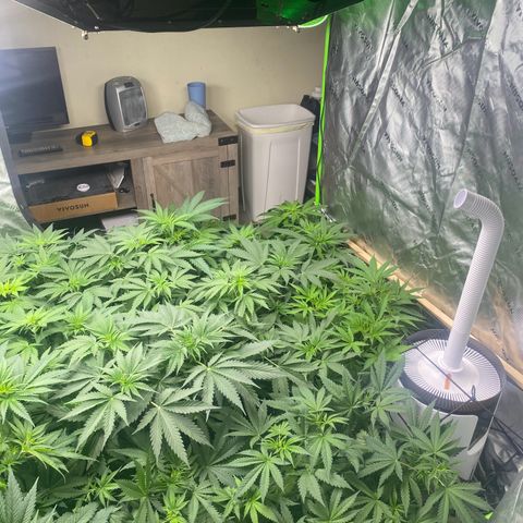 Baker bros  growlog timeline photo