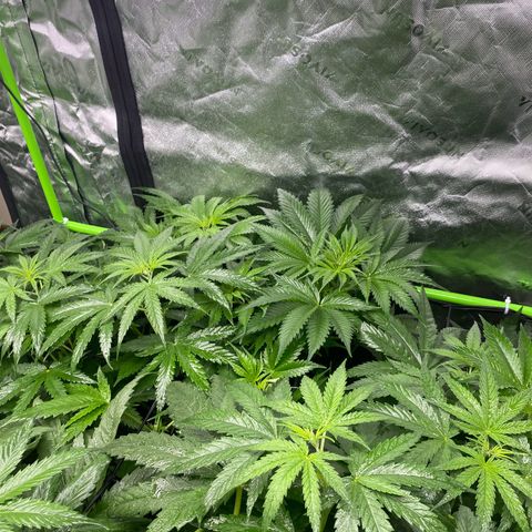 Baker bros  growlog timeline photo