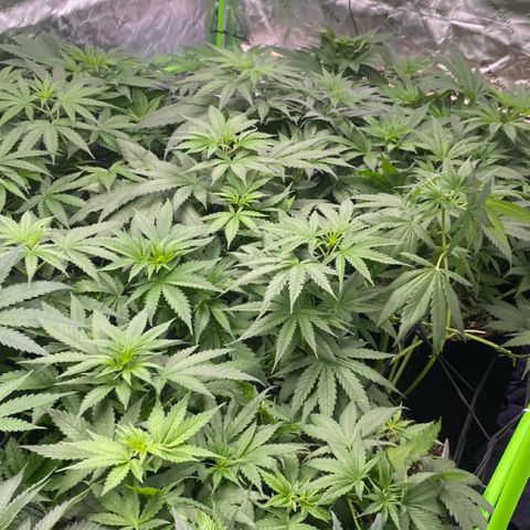Baker bros  growlog timeline photo