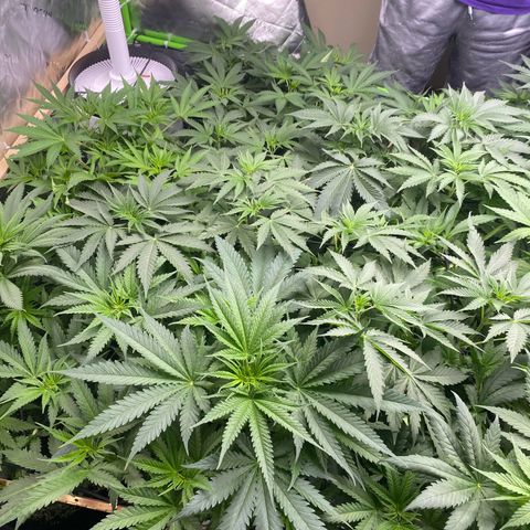Baker bros  growlog timeline photo