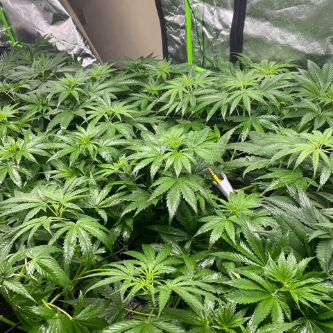 Baker bros  growlog timeline photo