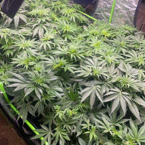 Baker bros  growlog timeline photo