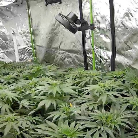 Baker bros  growlog timeline photo