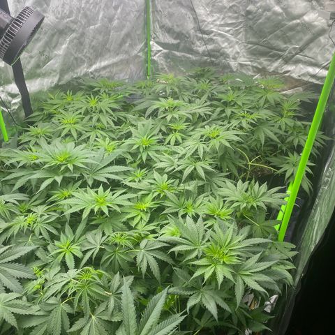 Baker bros  growlog timeline photo