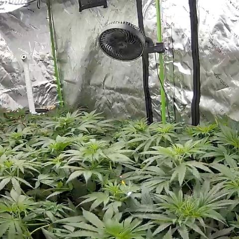 Baker bros  growlog timeline photo